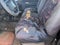 1998 Dodge Ram 1500 ST