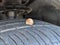 2014 Dodge Grand Caravan AVP
